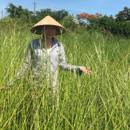 Harvesting